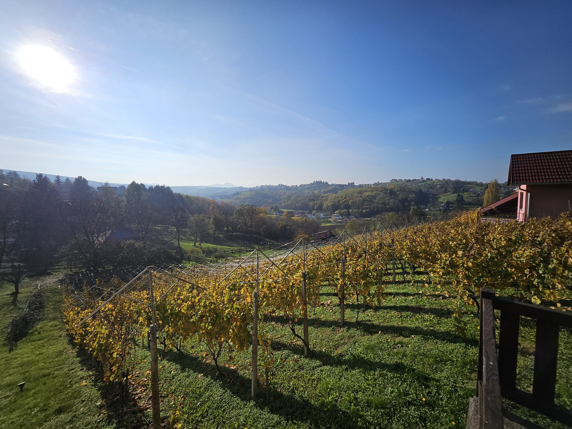 Vigneti in Croazia. La mappa interattiva censisce oltre 4,3 milioni di vigneti in 90 Paesi.